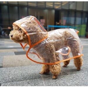 Clear Transparent Dog Raincoat with Orange Trim